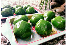 清明時節(jié)吃什么美食？全國各地18種清明美食大集合（多圖）